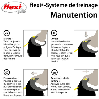 Laisse rétractable Flexi Giant Tape