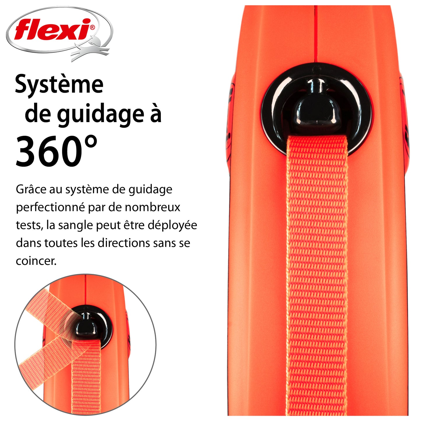 Laisse rétractable Flexi Xtreme Tape