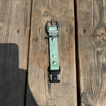 Quick Release Collar Buckle