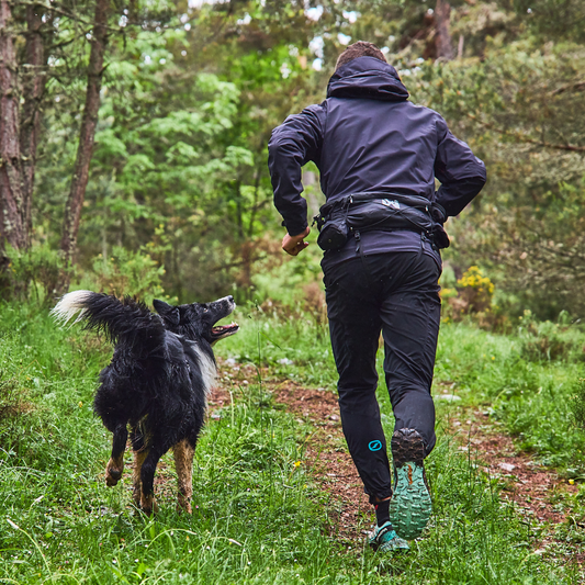 Trail Light Belt