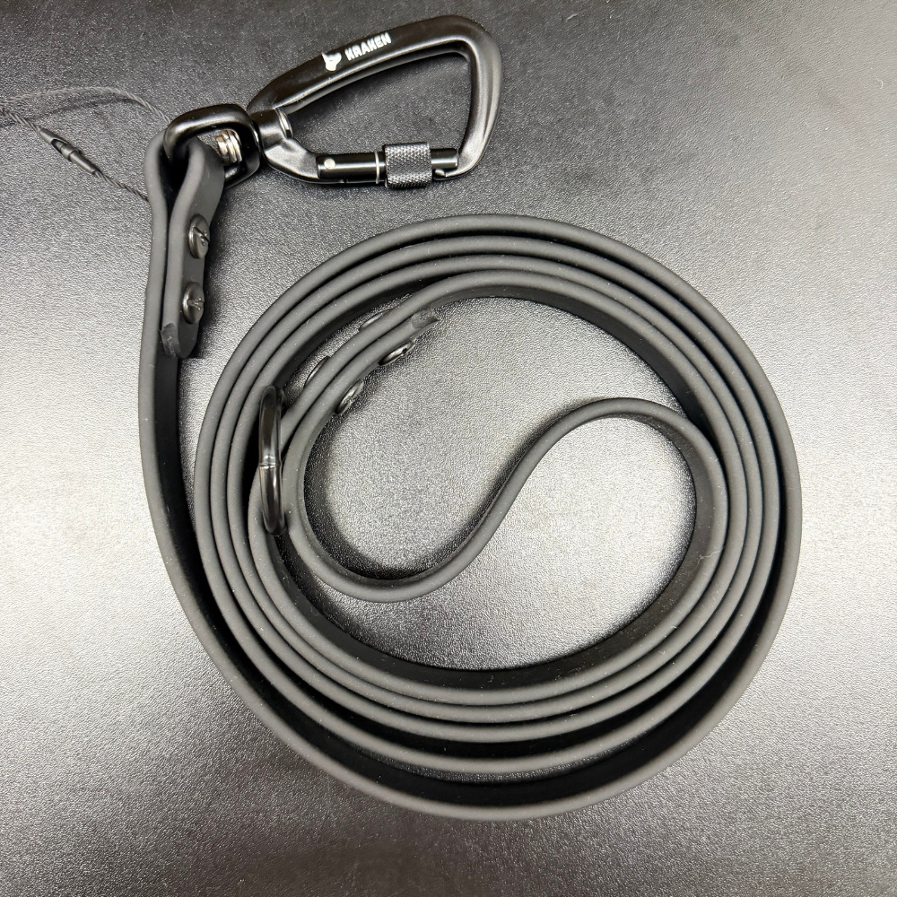Alpine Regular Leash