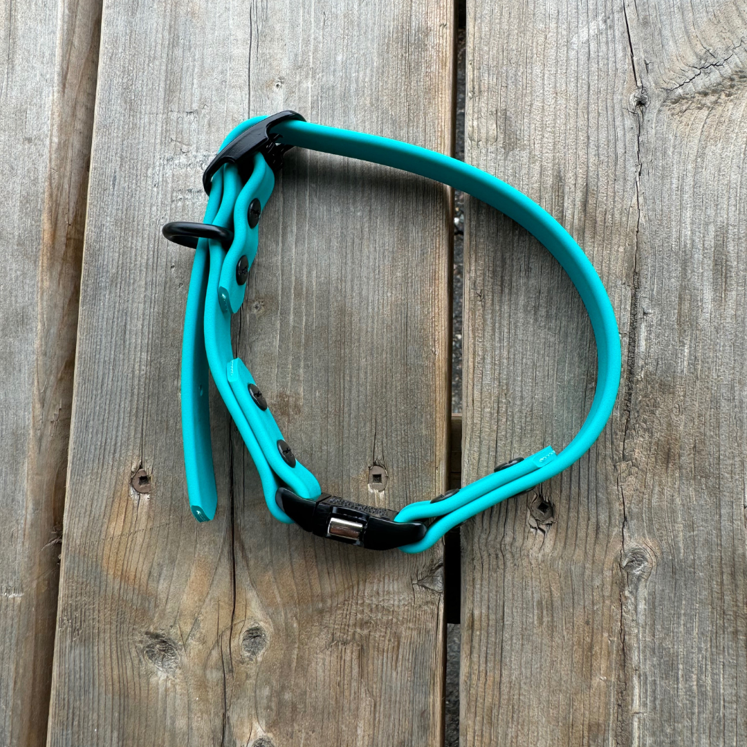 Quick Release Collar