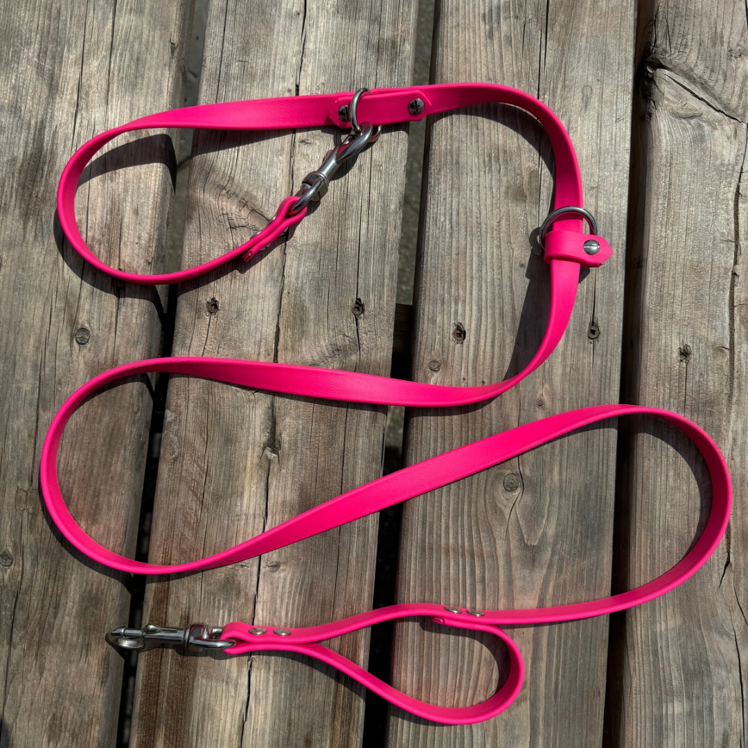 Multi-function leash