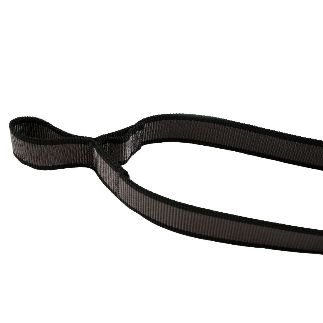 Leash Y For Two Dogs