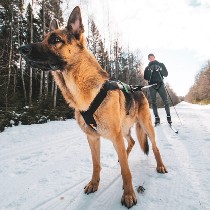 Freemotion Harness (Pre-order)