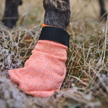 Protector Light Socks