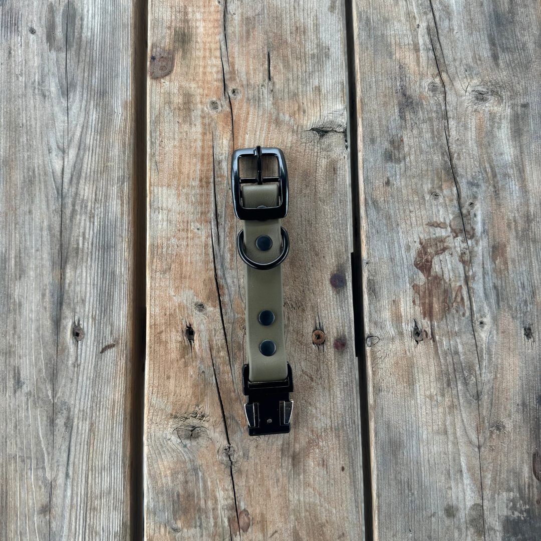 Quick Release Collar Buckle