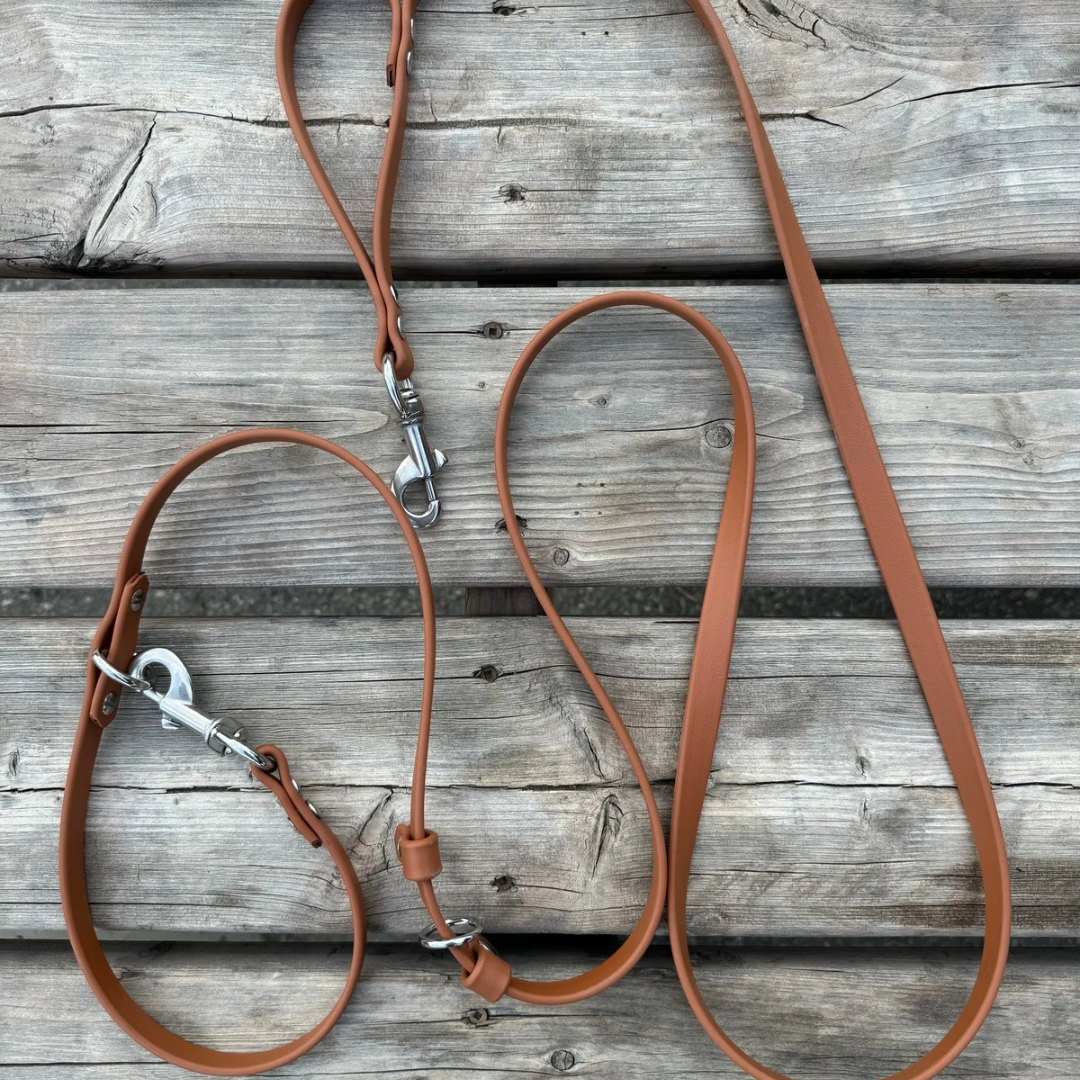 Multi-function leash