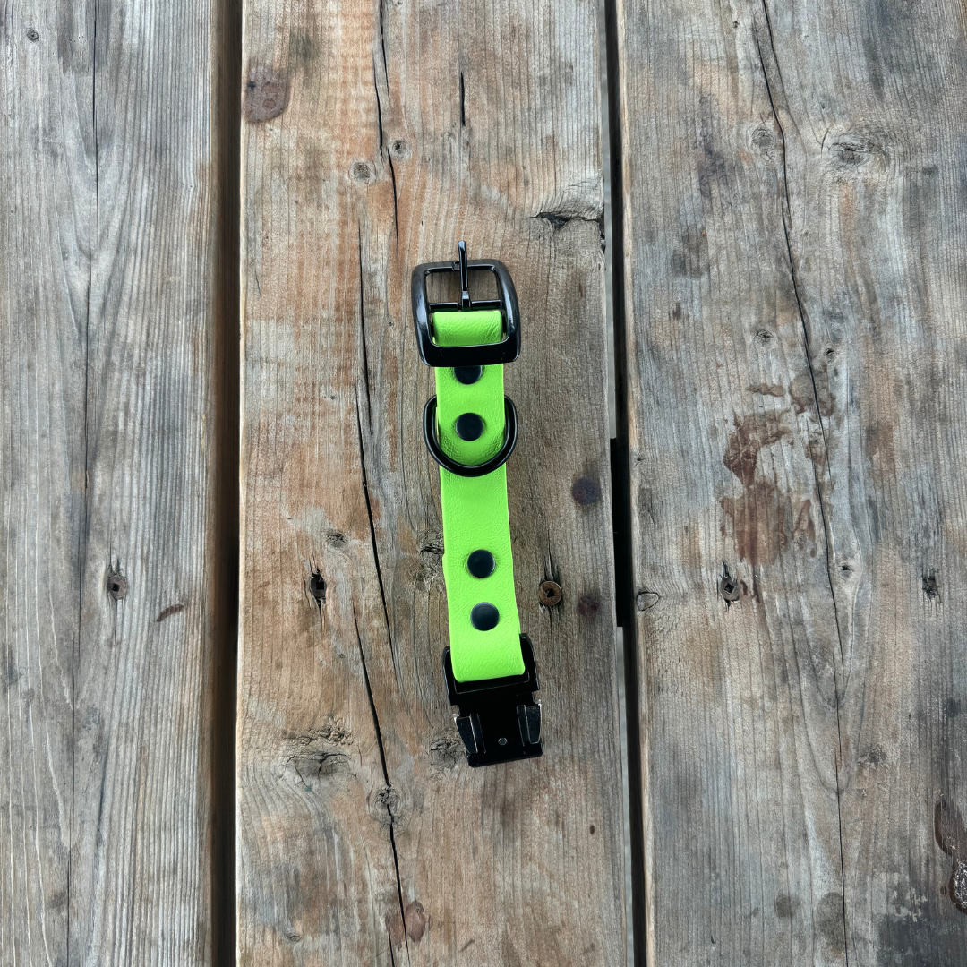 Quick Release Collar Buckle