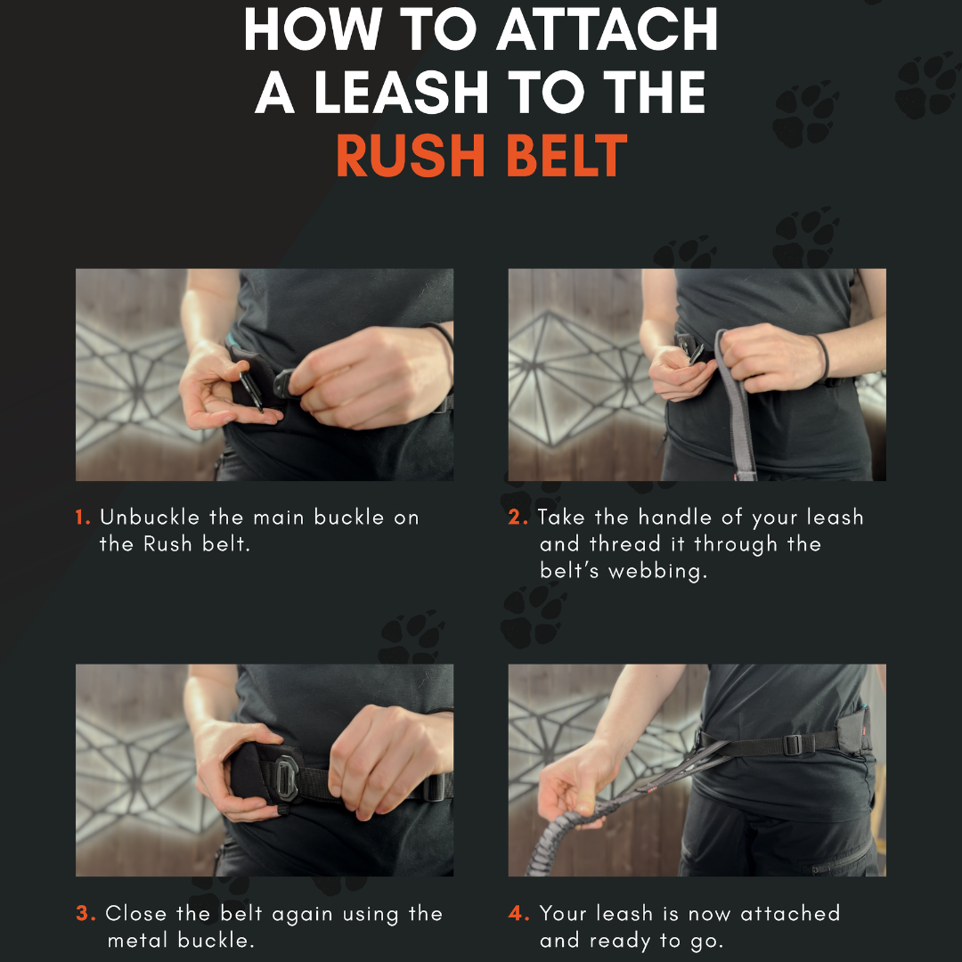 Ceinture Rush