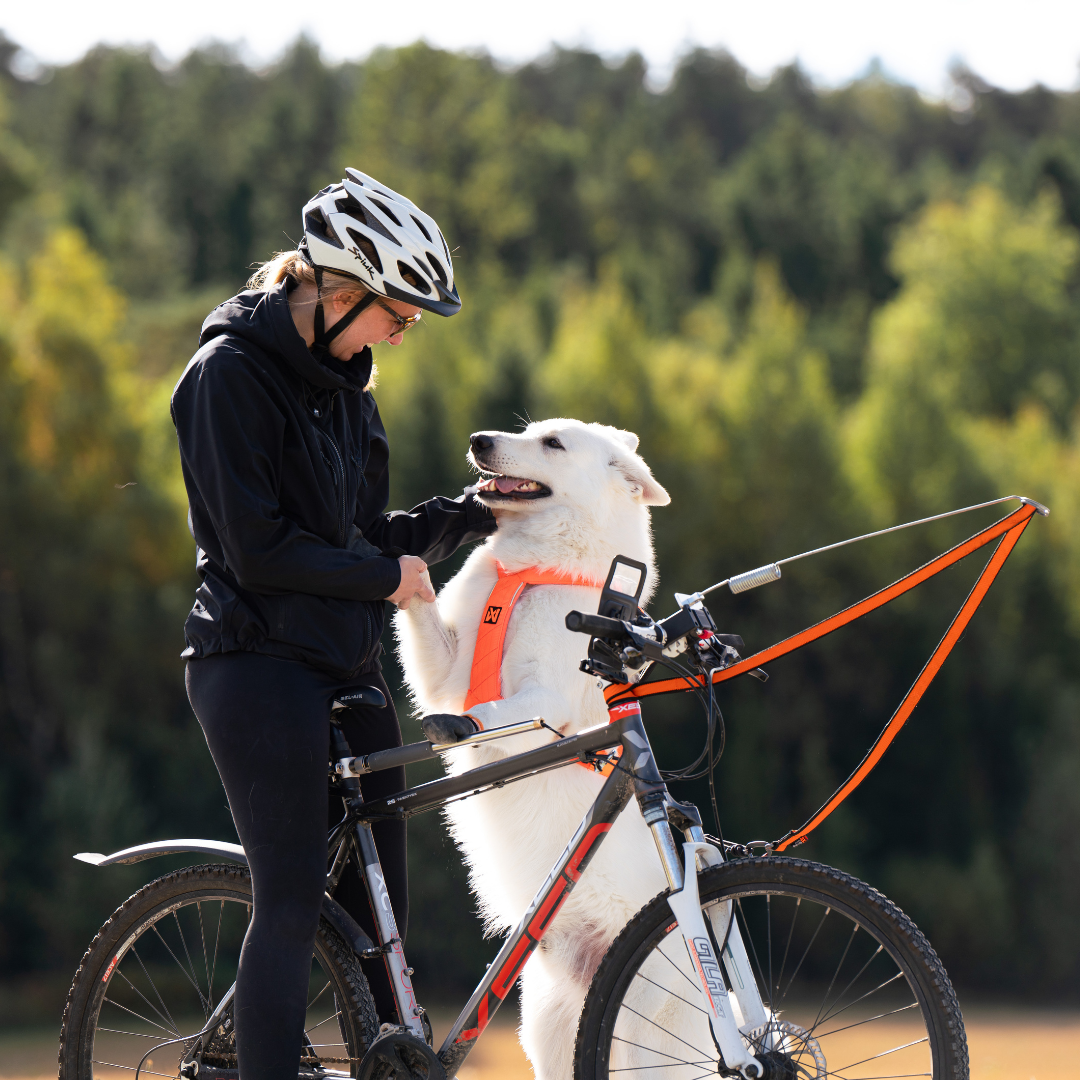 Antenne pour vélo
