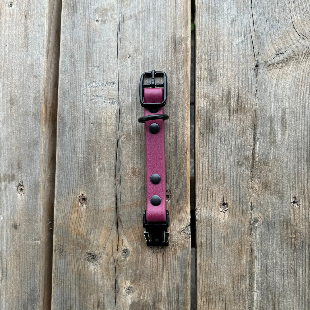 Quick Release Collar Buckle