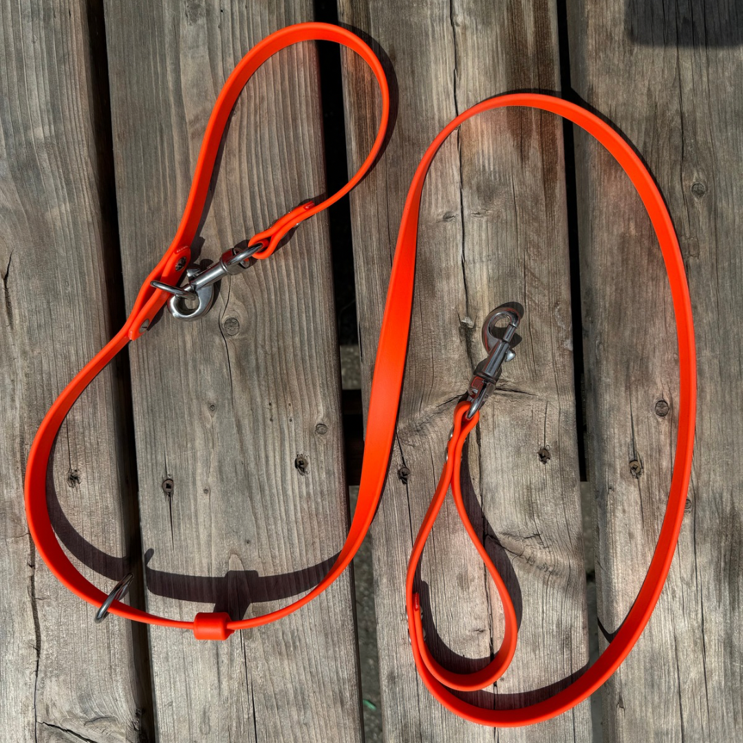 Multi-function leash