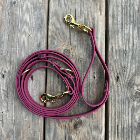 Multi-function leash