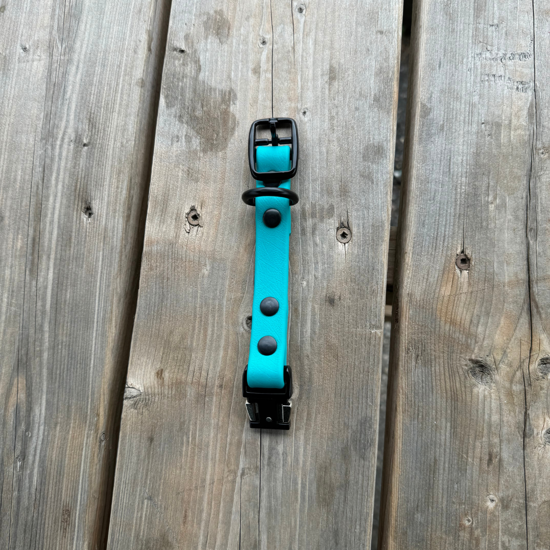 Quick Release Collar Buckle