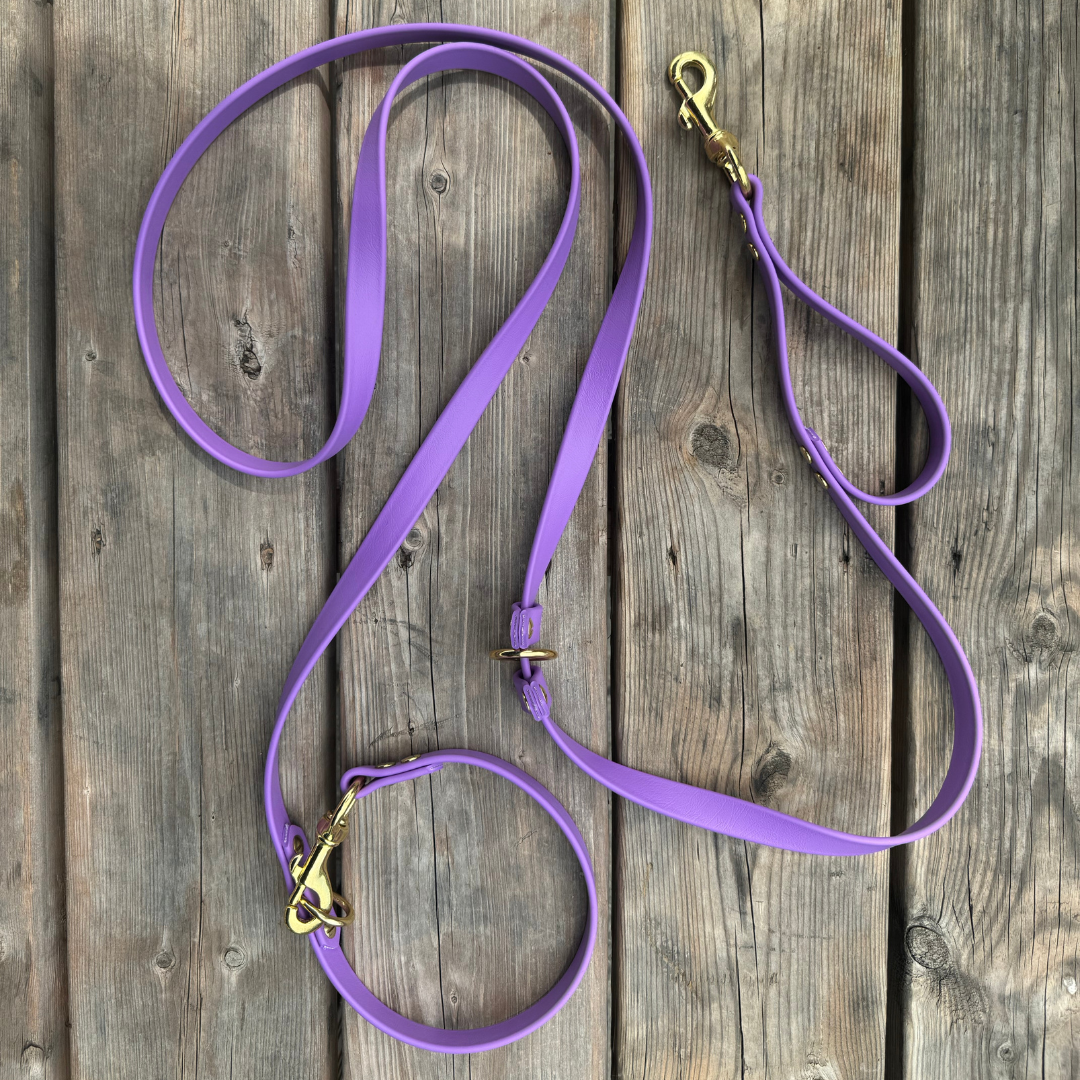 Multi-function leash