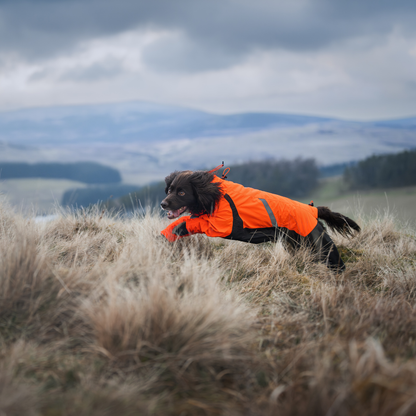 Fjord Overall Raincoat