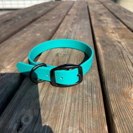 Standard Medium Teal Collar