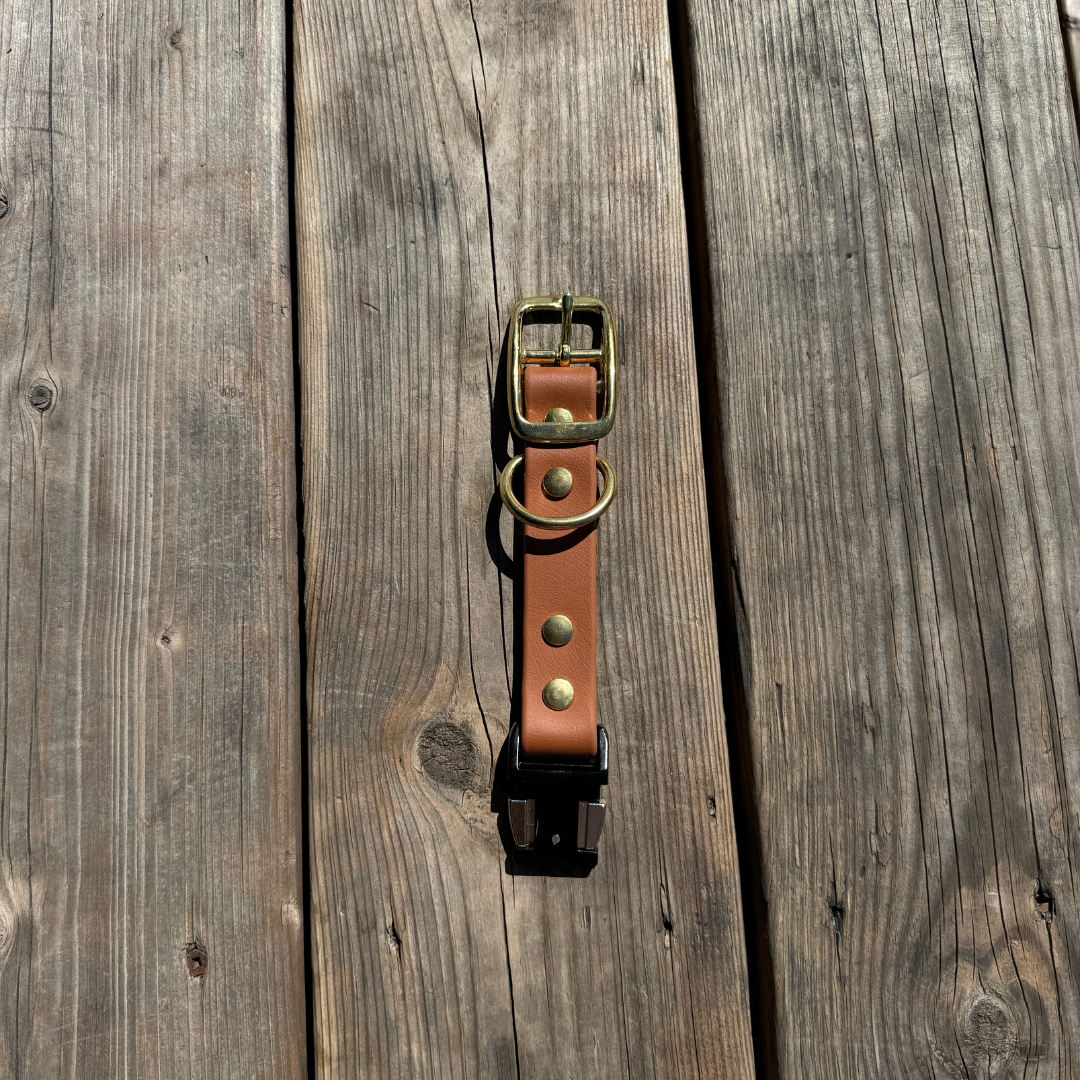 Quick Release Collar Buckle