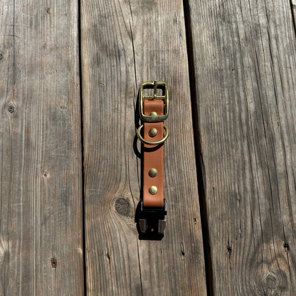Quick Release Collar Buckle