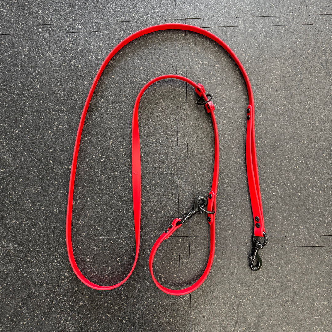 Multi-function leash