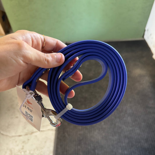 Standard Royal Blue 5 foot leash