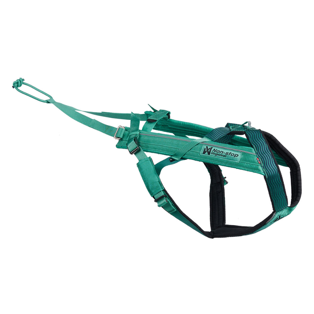 Harnais Freemotion 5.0