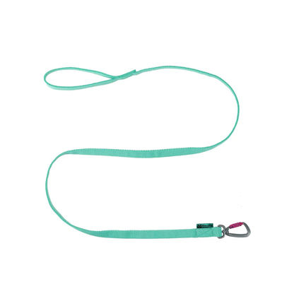 Bungee Leash 
