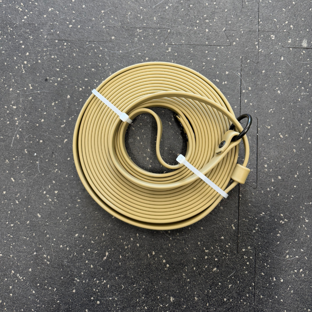 Slip Leash/Long line