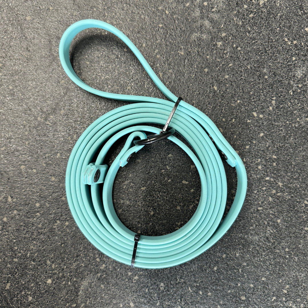 Slip Leash/Long line