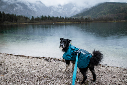 Fjord raincoat 2.0 (PRE-ORDER)