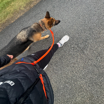 Multi-function leash