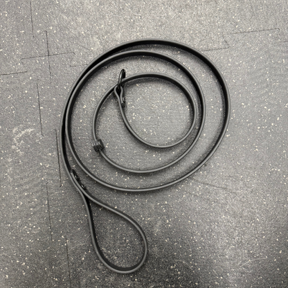 Slip Leash/Long line