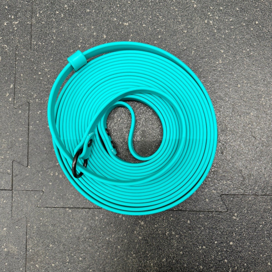 Slip Leash/Long line