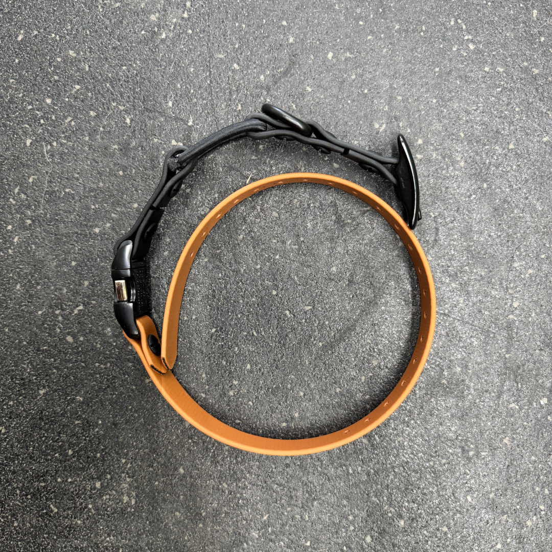 Replacement Collar for E-collar