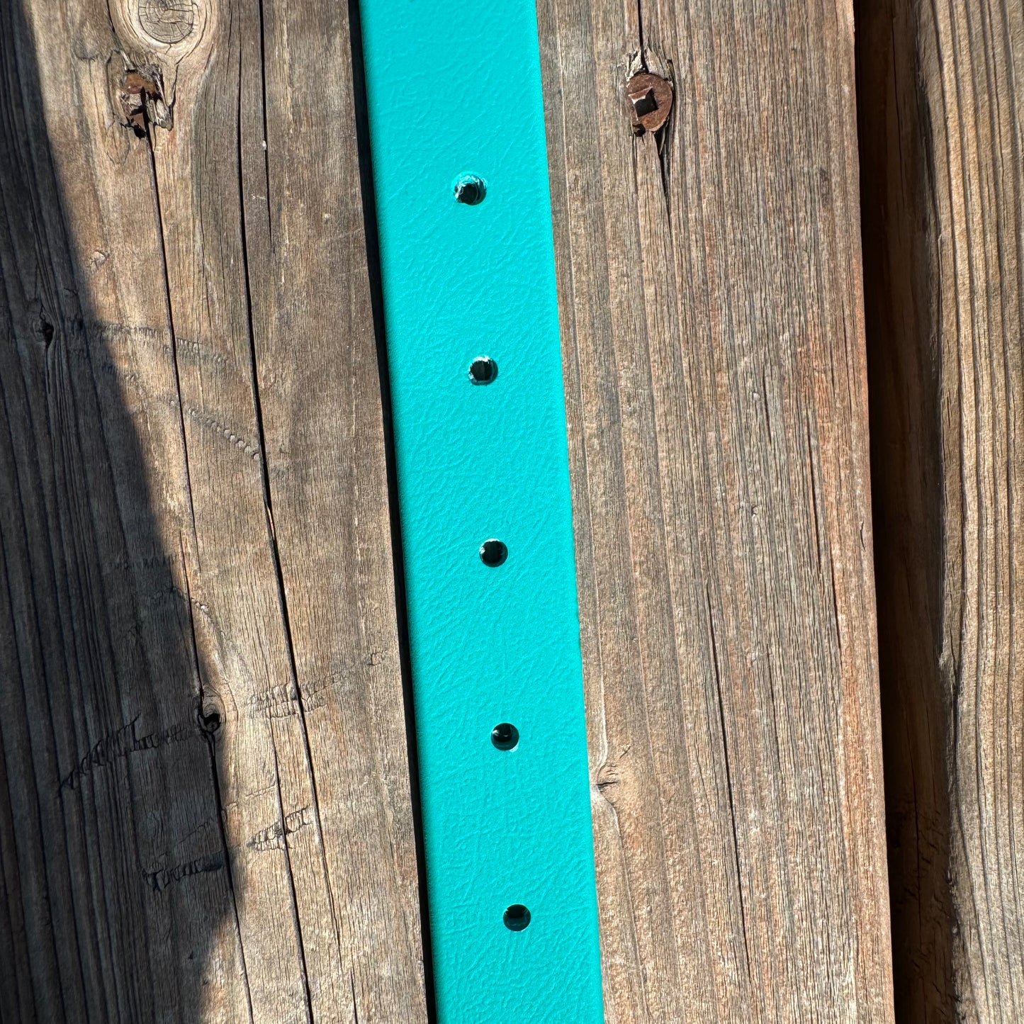 Collier Standard Moyen Teal