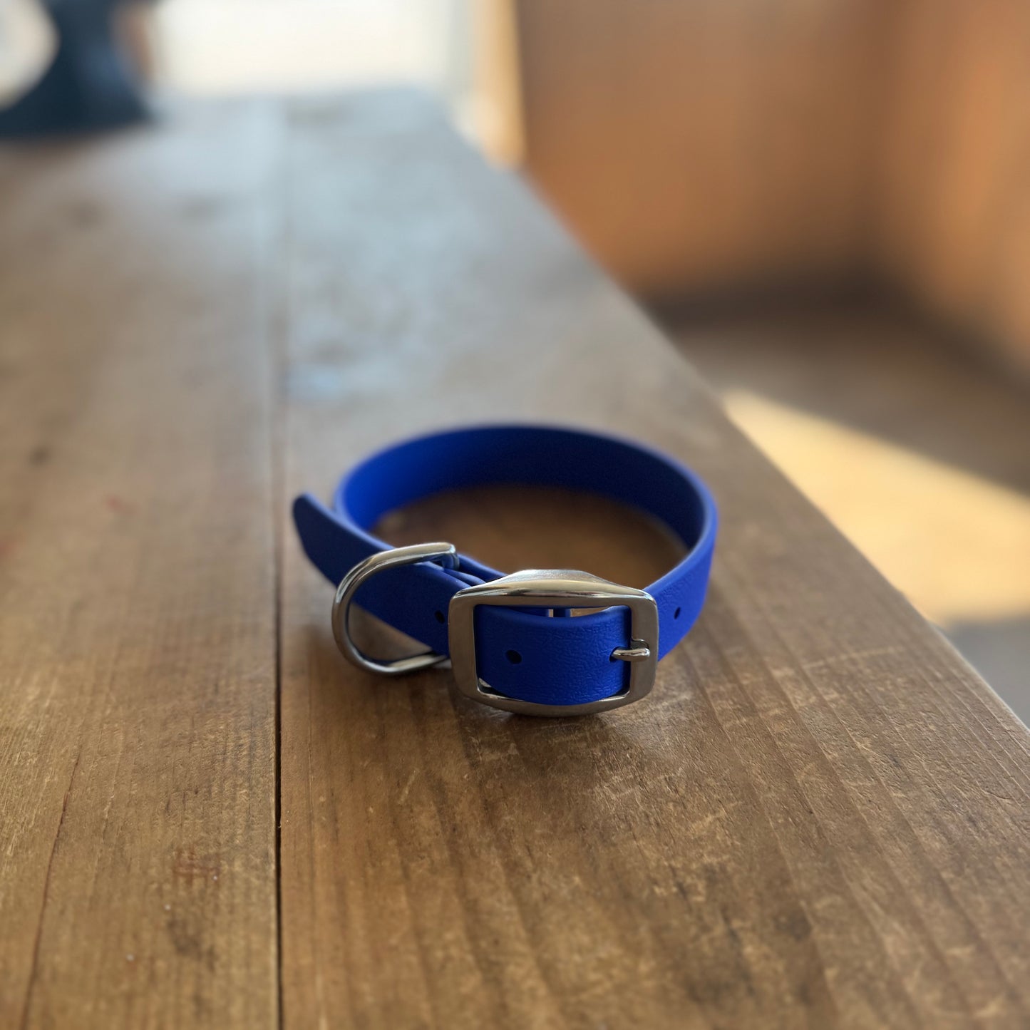 Standard Collar Small Royal Blue