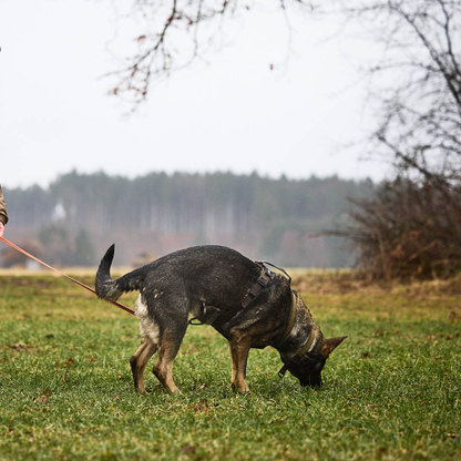Line harness grip WD