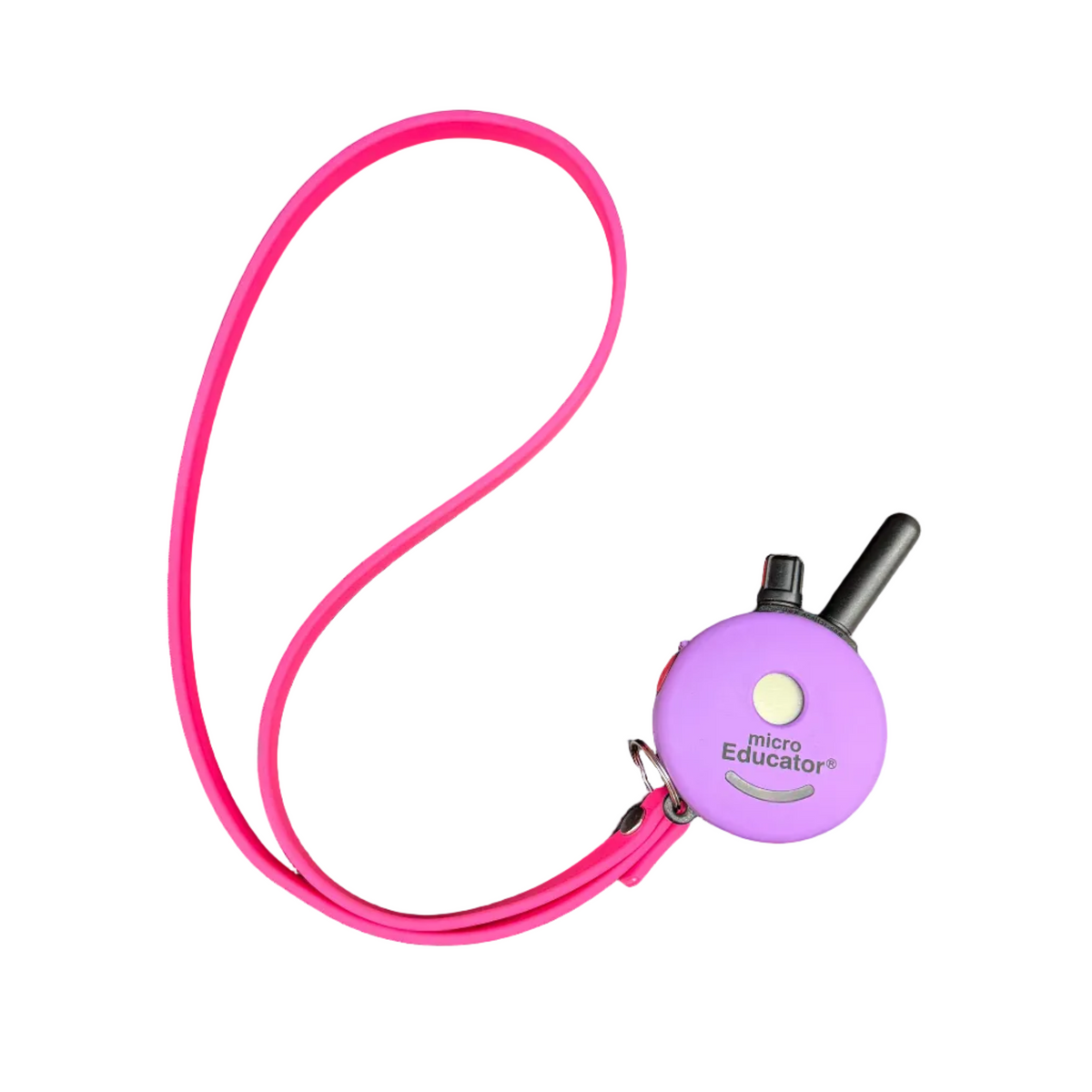 Controller Lanyard
