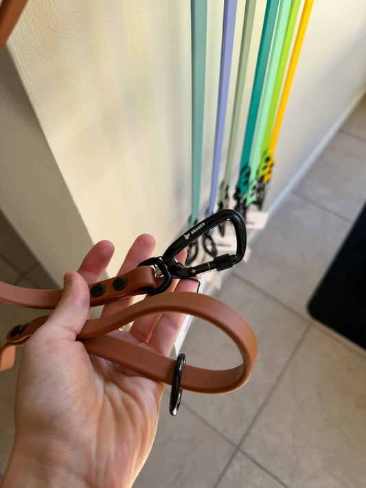 Alpine PROMO Regular Leash