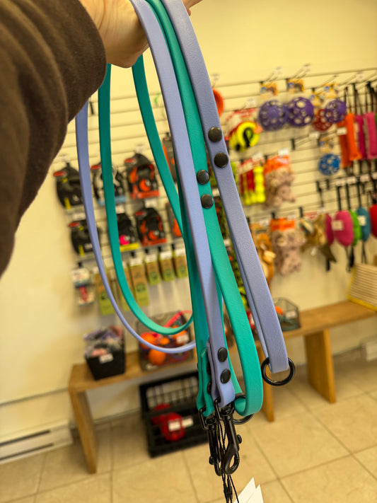 Regular Small Dog Leash SALE