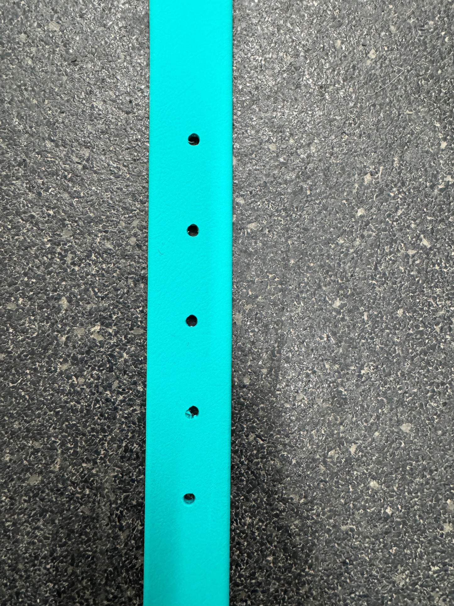 Standard Collar Medium Teal
