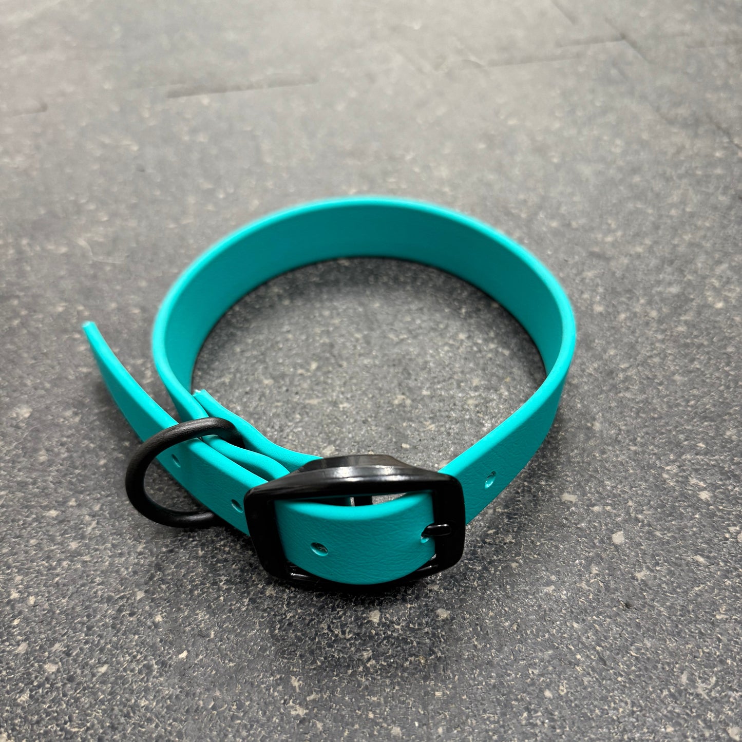 Standard Collar Medium Teal