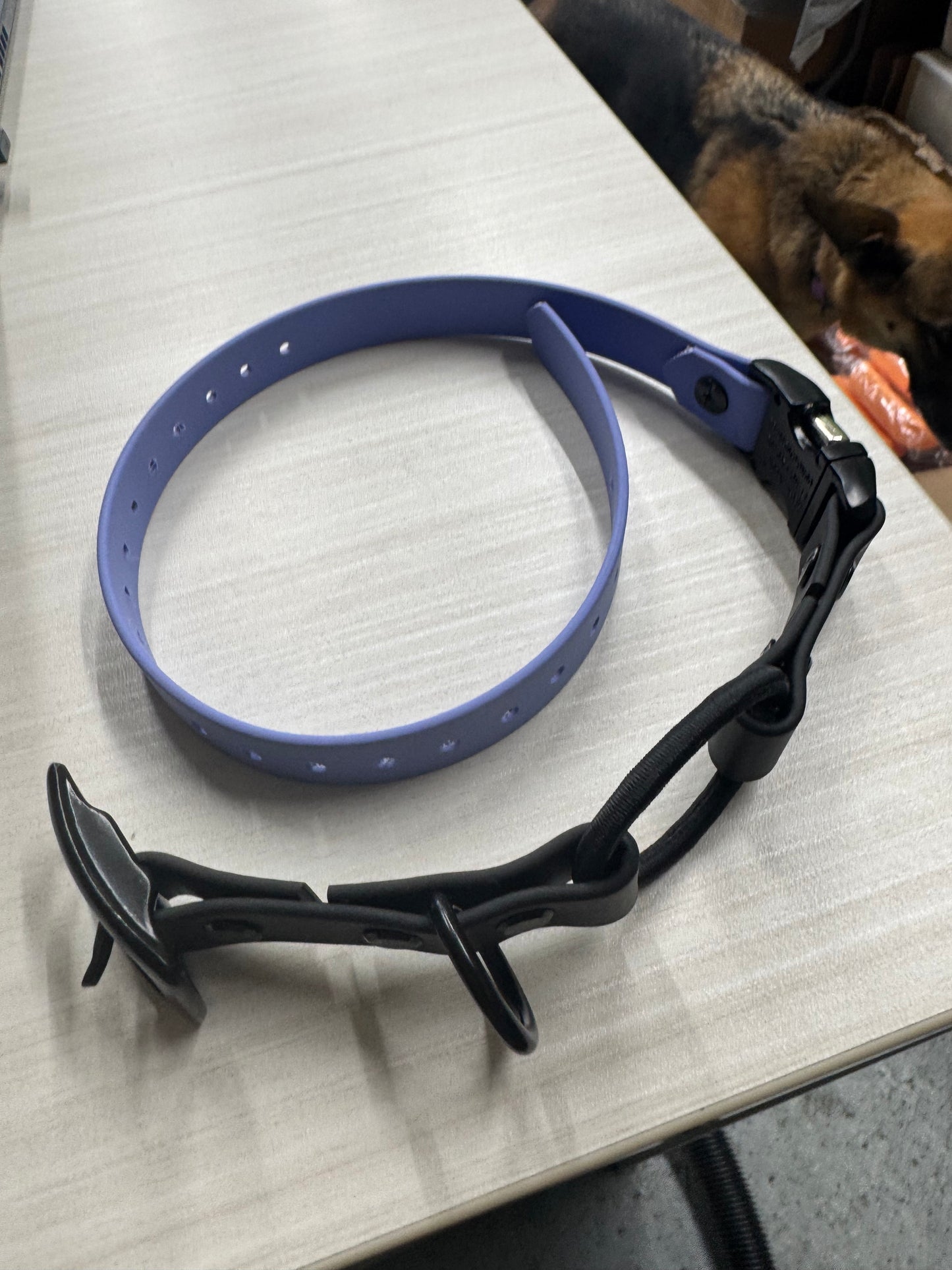 Replacement collar for e-collar old blue 3/4 (ready to go)