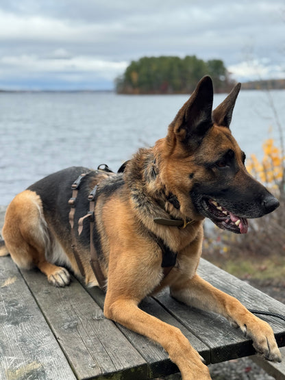 Line Long Harness WD