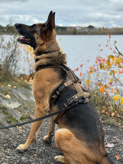 Line Long Harness WD