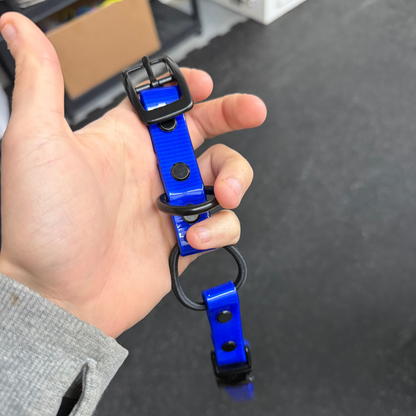 Collier de remplacement pour e-collar Bleu Glossy