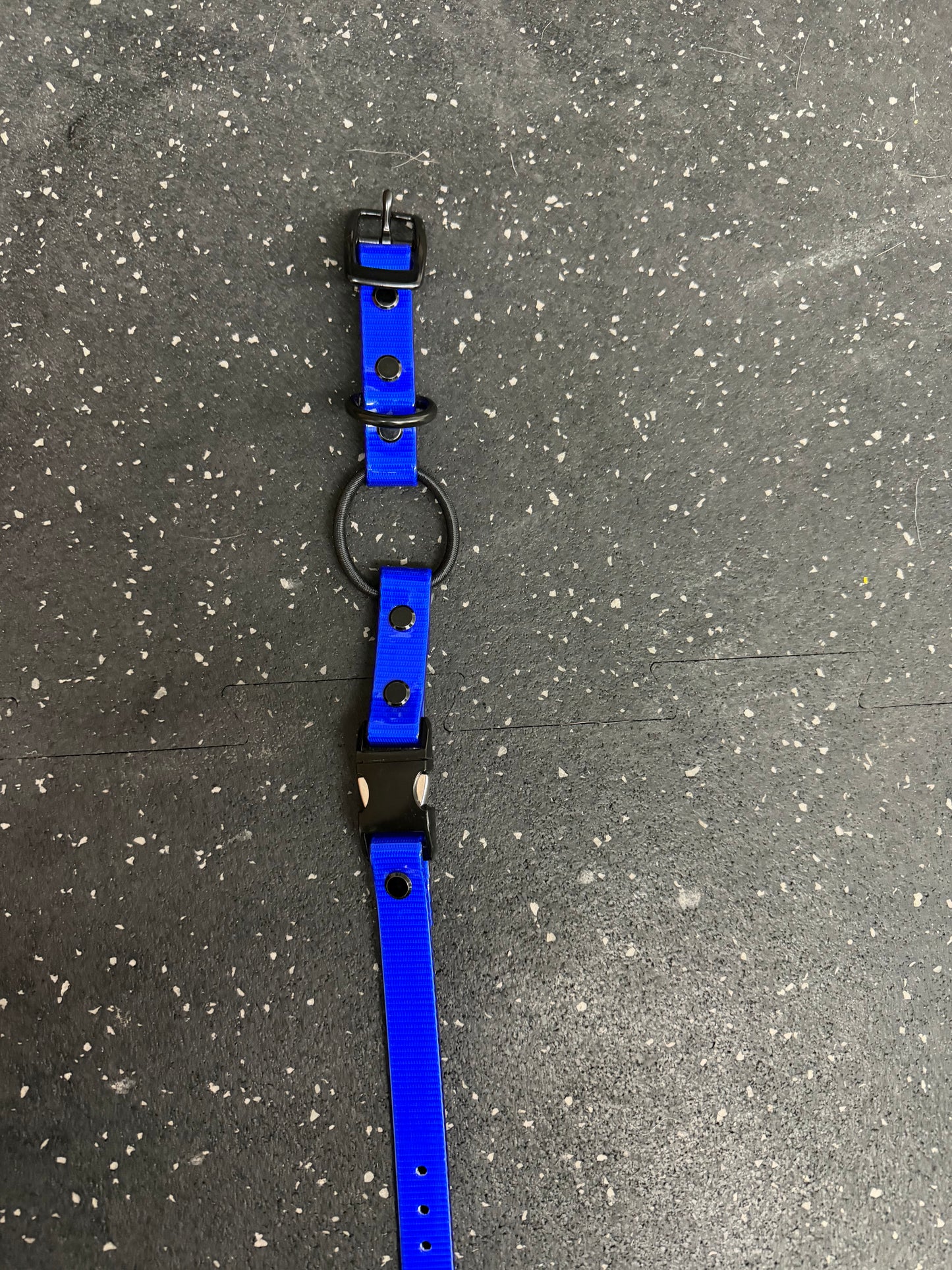 Collier de remplacement pour e-collar Bleu Glossy