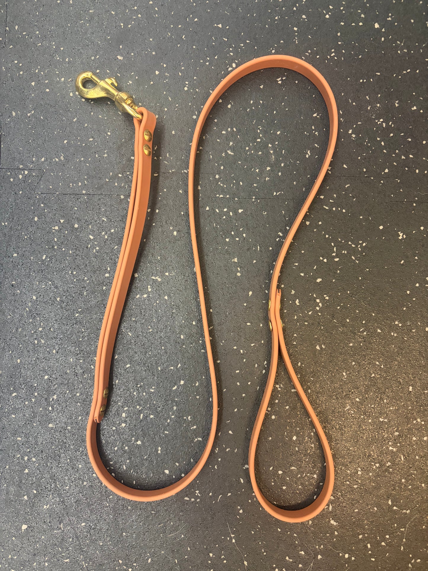 Laisse Standard 4 pieds 5/8 Tan