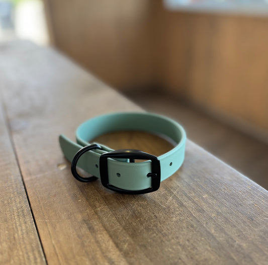 Small Sage Standard Collar